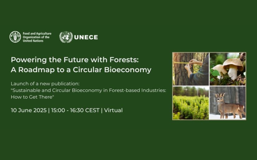 Bioeconomy Publication Launch